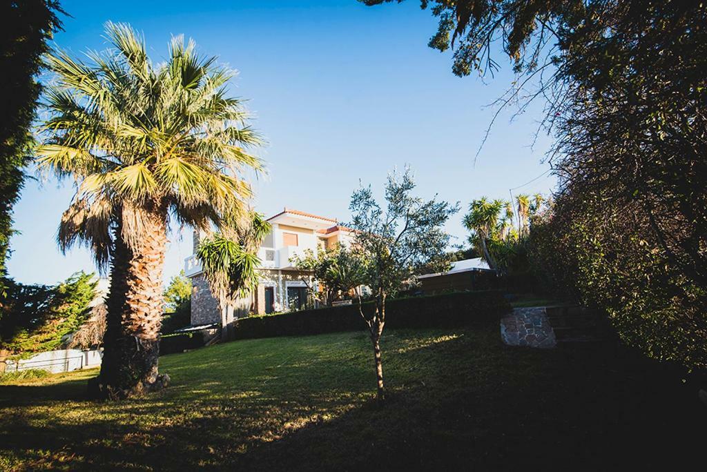 Villa Soula Anavyssos Buitenkant foto